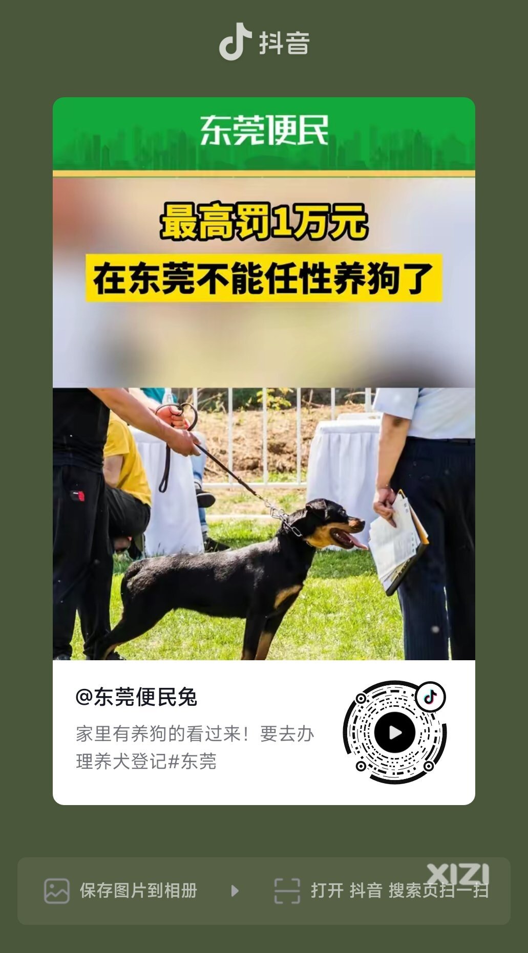 东莞已规范养狗了，惠州什么时候开始？