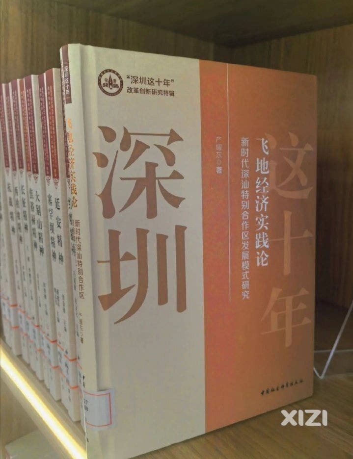 中国首个深汕特别合作区飞地经济实践论，发行版权